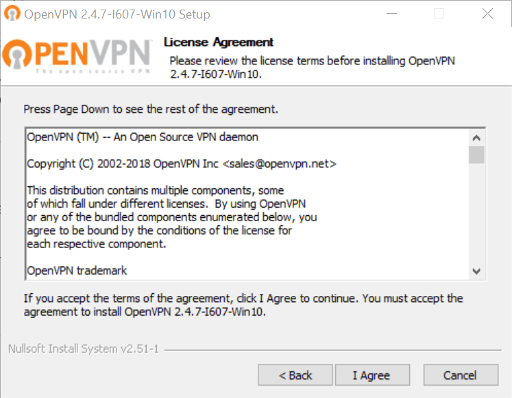 Zrzut ekranu umowy licencyjnej OpenVPN